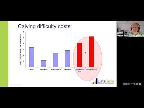 Breeding Briefs: webinar series - Calving Ease & Gestation Length ABVs