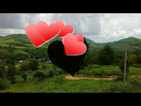 Hluas nkauj vib nais Cover francis Yang 2018