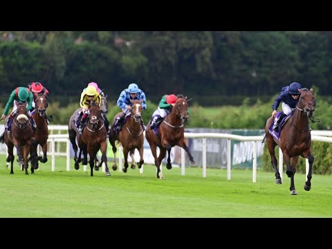 MONTREAL mauls rivals in Leopardstown romp