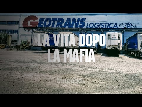 C'è vita dopo la mafia, così i dipendenti salvano l'azienda confiscata: "Abbiamo vinto noi"