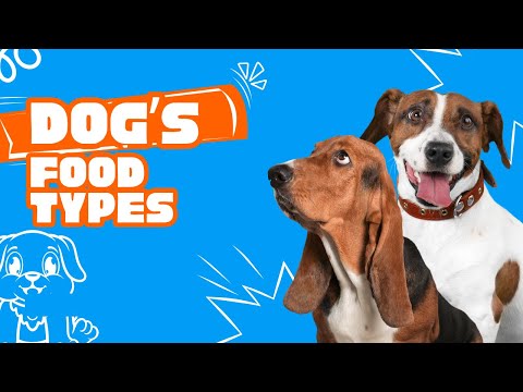 11 Types of Dog Food You Should Know About | The Complete Guide