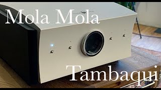 The BEST SOUNDING DAC I've heard: Mola Mola Tambaqui