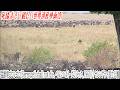 101 World Heritage Films You Must See Before You Die Serengeti Shall Not Die Bernhard Grzimek
