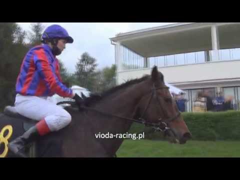 Gon. VIII - 3.05.2014 - Old Man Song (Celtic Swing - Jane Digby)