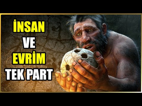 , title : 'İnsanın Kökeni: Evrimsel Bir Yolculuk Belgeseli | TEK PARÇA'