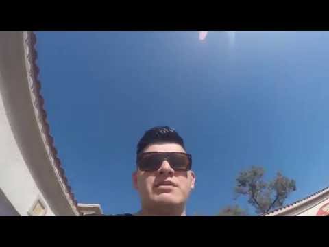 ZooFunktion Z Files Episode 001 - DAY IN THE LIFE