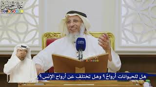 518- هل للحيوانات أرواحٌ؟ وهل تختلف عن أرواح الإنس؟ - عثمان الخميس