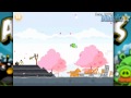 Angry Birds Hogs And Kisses Level 1 6