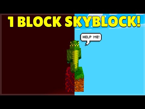 ECKOSOLDIER - Minecraft Skyblock Map BUT It's Only 1 BLOCK Wide! (iOS, Android, PC, Xbox, Switch PS4)