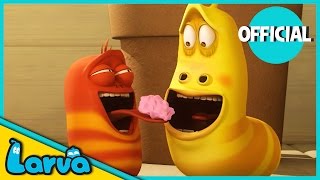 LARVA - BUBBLEGUM | 2017 Full Movie Cartoon | Cartoons | Comics | LARVA Official