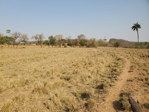 OPORTUNIDADE SITIO 25 ALQUEIRES A 100 O ALQ GUZOLANDIA SP - VEJA A DESCRICAO- INTERIOR DE SAO PAULO.