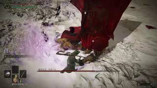 ELDEN RING Lv1 62_2