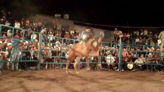 preview picture of video 'La Mejor Monta De Tlaucingo 2010'