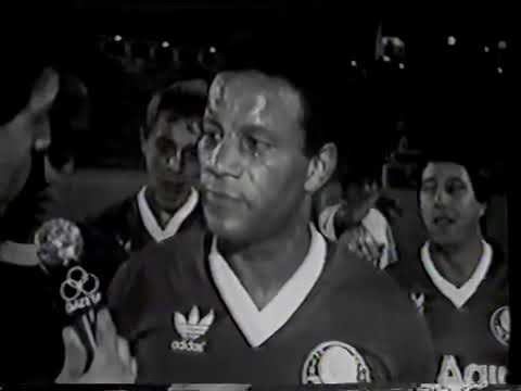 Palmeiras 1x0 Juventus SP (20/05/1989) - Paulistão 1989