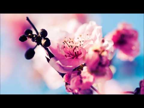 Jimmy Chou pres. Prototype - Come Together (Manuel Rocca Remix)