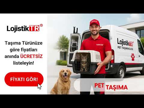 LojistikTR: Nakliyat ve Taşıma