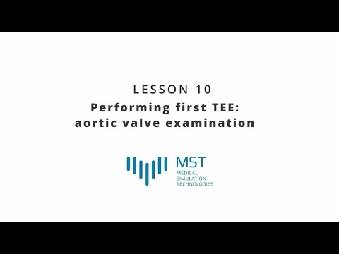 MST Masterclass - Lesson 10 - Performing the first TEE: aortic valve examination