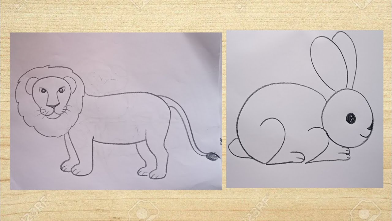 Watch video how to draw lion and rabbit drawing easy step by step@Kids Drawing Talent Now how to draw lion and rabbit drawing easy step by step@Kids Drawing Talent