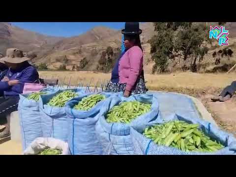 NUESTRO PUEBLO, NUESTRA PRODUCCIÓN No. 12