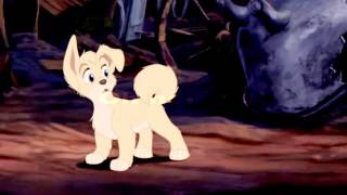 Animash | Wide awake [Collab with TheWolfDiamond]