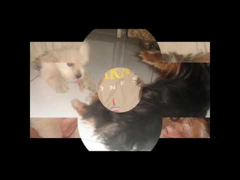 The day God took you home