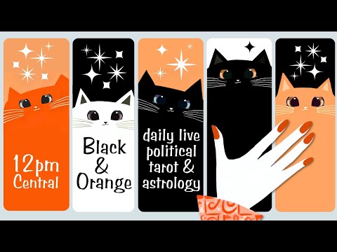 Daily Live Political Tarot Readings - January 23, 2026