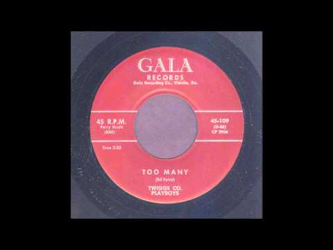 The Twiggs Co. Playboys - Too Many - Hillbilly 45