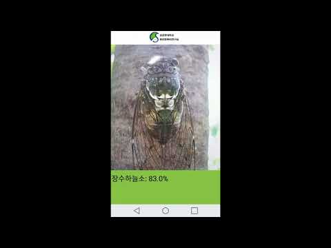 곤충 인식 Video