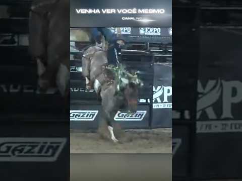 prova 2026 do cutiano em Douradina Paraná Brasil. venha ver você mesmo Canal no YouTube.