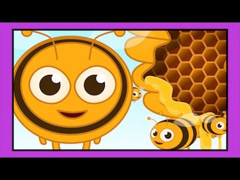 Arı Vız Vız Vız Şarkısı - Adisebaba Çocuk Şarkıları 2014