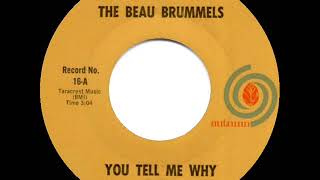 1965 HITS ARCHIVE: You Tell Me Why - Beau Brummels