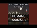 Horses Grunting Several Sound Effects Sound Effect Sounds EFX Sfx FX Animals Horse