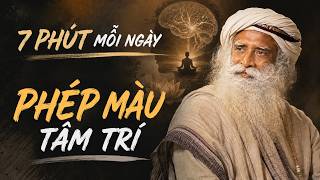 7 Phút Mỗi Ngày Có Thể Thay Đổi Tâm Trí Bạn | Nhân Sinh Quán