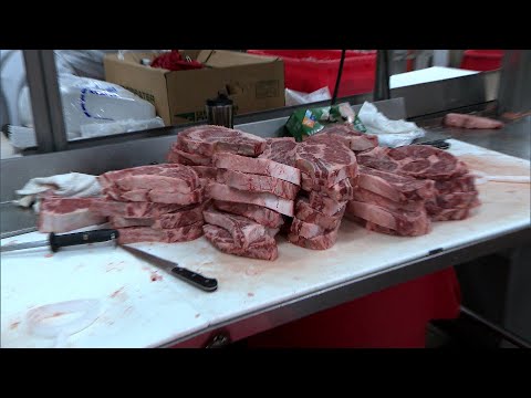 What Is TikTok’s ‘Lion Diet’?