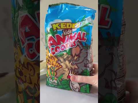 Noah's Ark DIY Food Craft