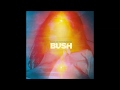 Bush - Sky Turns Day Glo