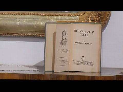 Videó előnézet