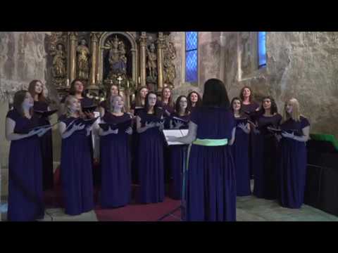 Zbor mladih Vedrina   Zagorje moje/ Molitva majke zagorske