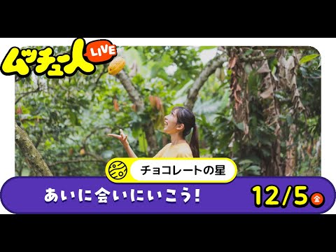 ムッチュー人LIVE｜チョコレートの星のあいに会いにいこう！