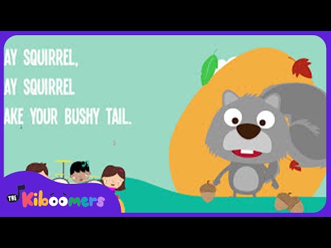 Grey Squirrel Shake Your Bushy Tail | Gray Squirrel | Kids Song | The Kiboomers