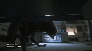 [閒聊] 異形的遊戲裡的AI寫得很像異形的八卦？