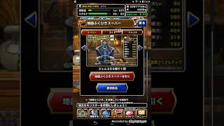 【DQMSL】系統王フェス10連(間違えて消しちゃったので再うp)