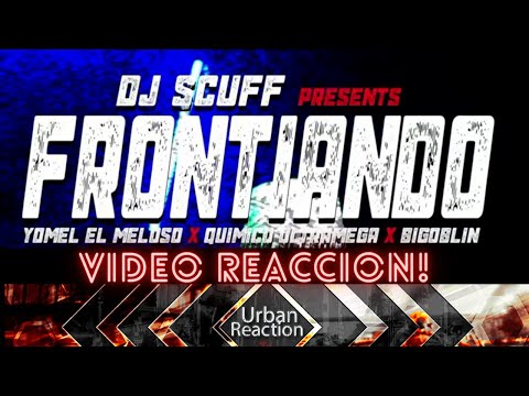DJ SCUFF ❌ QUIMICO ULTRA MEGA ❌ YOMEL EL MELOSO ❌ BIGOBLIN-FRONTIANDO (VIDEO REACION)