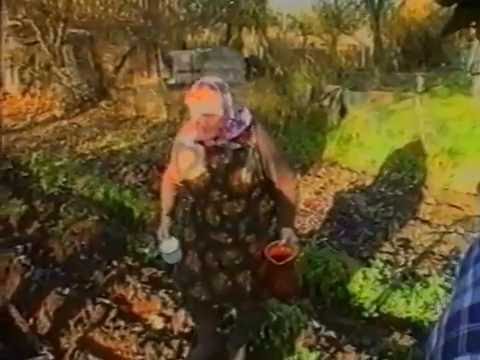 Grupė "Žemaitijos padaužos" Plungė/  Operatorius Antanas Bružas