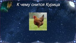 К чему снятся курица которая клюется