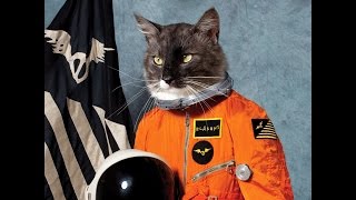 Klaxons - Surfing The Void (2010)