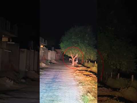 Ghost On Tree | Yeh Kya Tha Official #shorts #viralvideo #viralshorts #ghost #yehkyatha