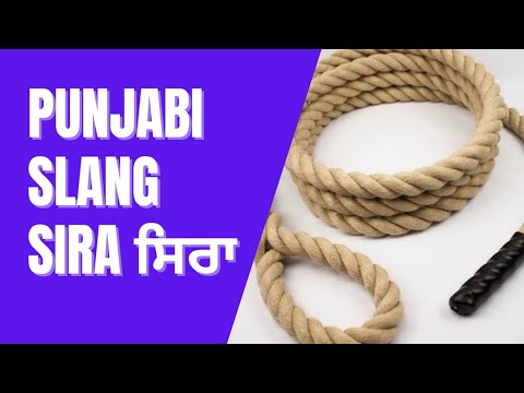 what does punjabi mean what does punjabi mean