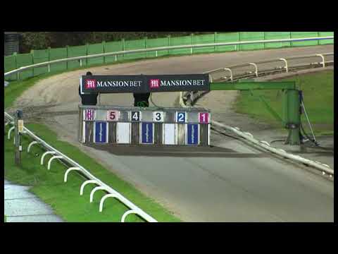 Signet Ace - Arena Racing Company Eclipse Stakes Final