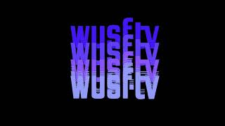 wusf remake